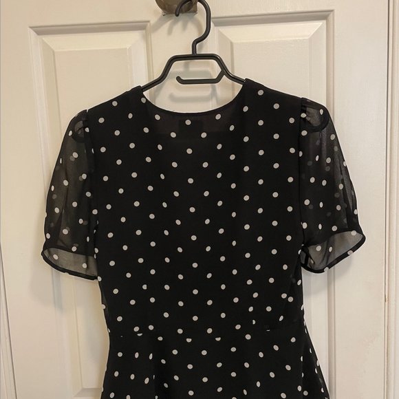 Aritzia Silk Blouse (Wilfred, Size 4) - Picture 2 of 2